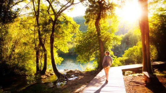 a woman is walking on a wooden path in the woods near a lake .