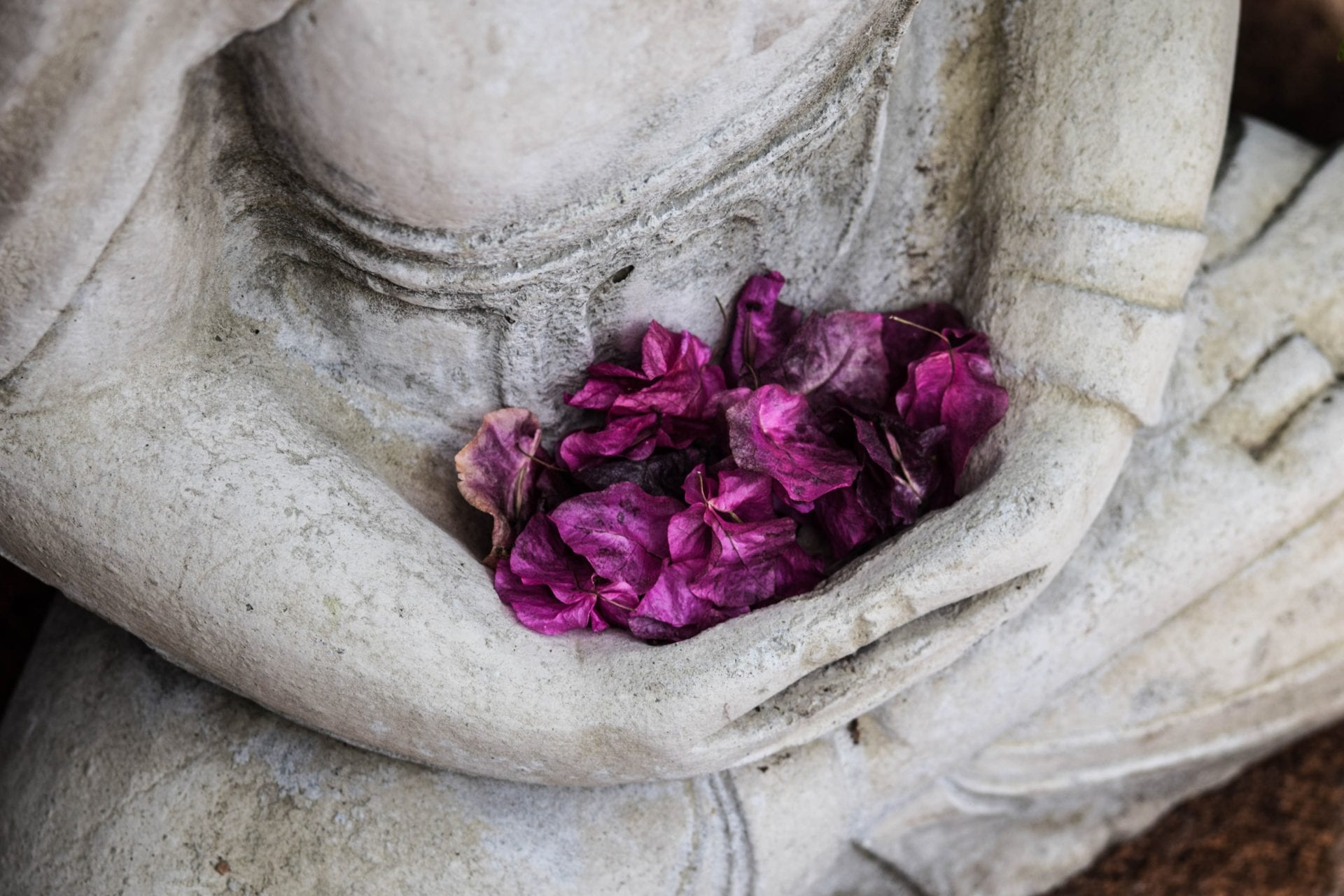 a statue of a person holding purple flowers in their hands .