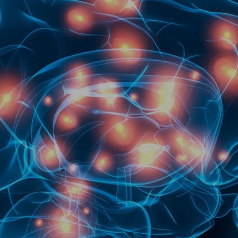 Is your brain healthy? Computer generated image of a human brain with red lights