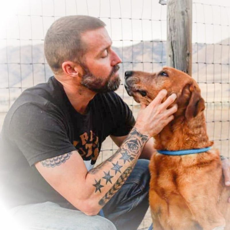 Dog looking lovingly into mans face