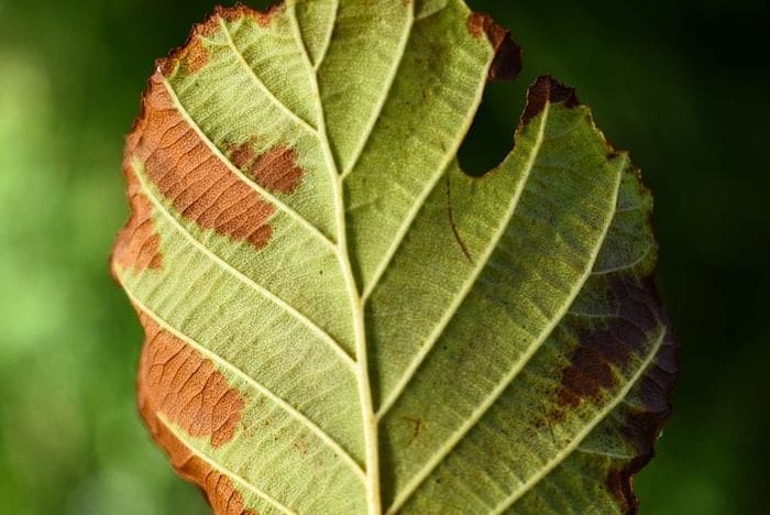 Embrace imperfection as the norm