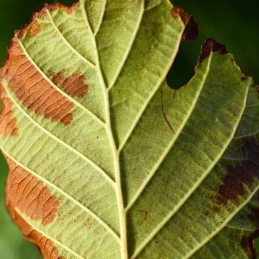 Embrace imperfection as the norm