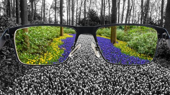 Discovering the power of gratitude