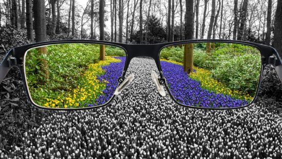 Discovering the power of gratitude