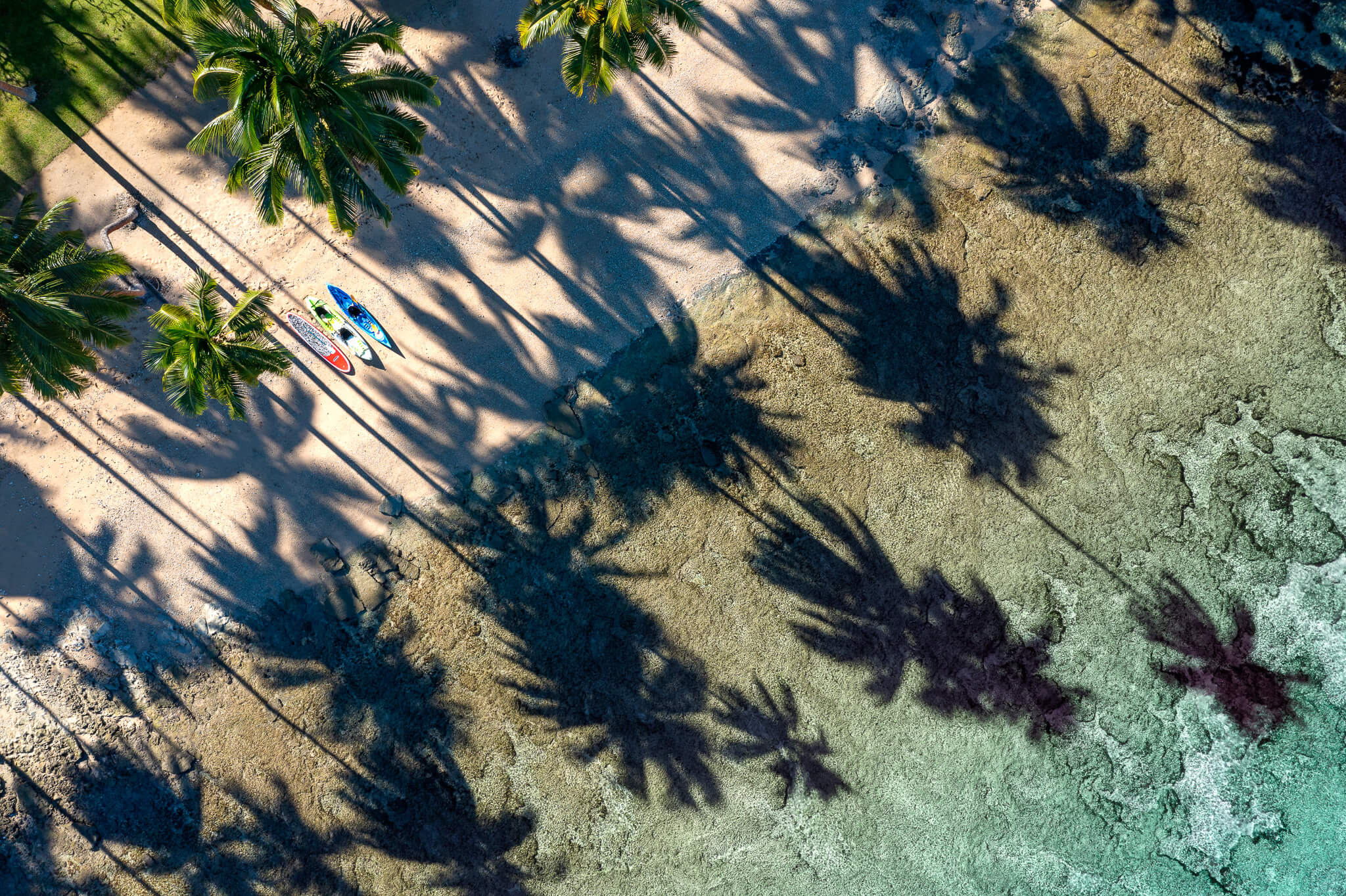 an aerial view of a beach with palm trees and kayaks .