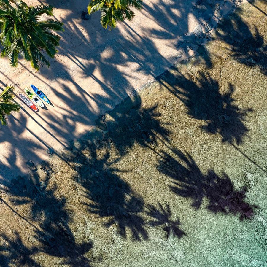 an aerial view of a beach with palm trees and kayaks .