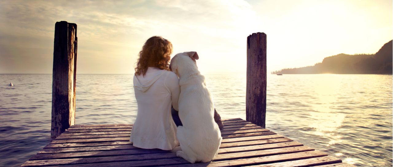 Discover the power of gratitude