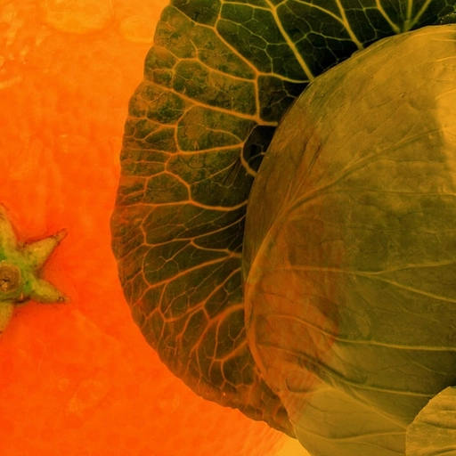a bowl of vegetables including avocado and chickpeas