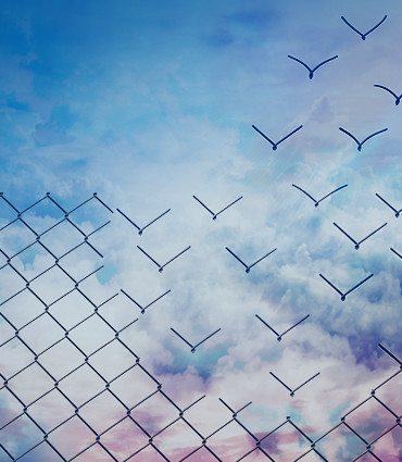 Small Business Marketing Tips Image of Chain Link Fence Morphing into Flying Birds