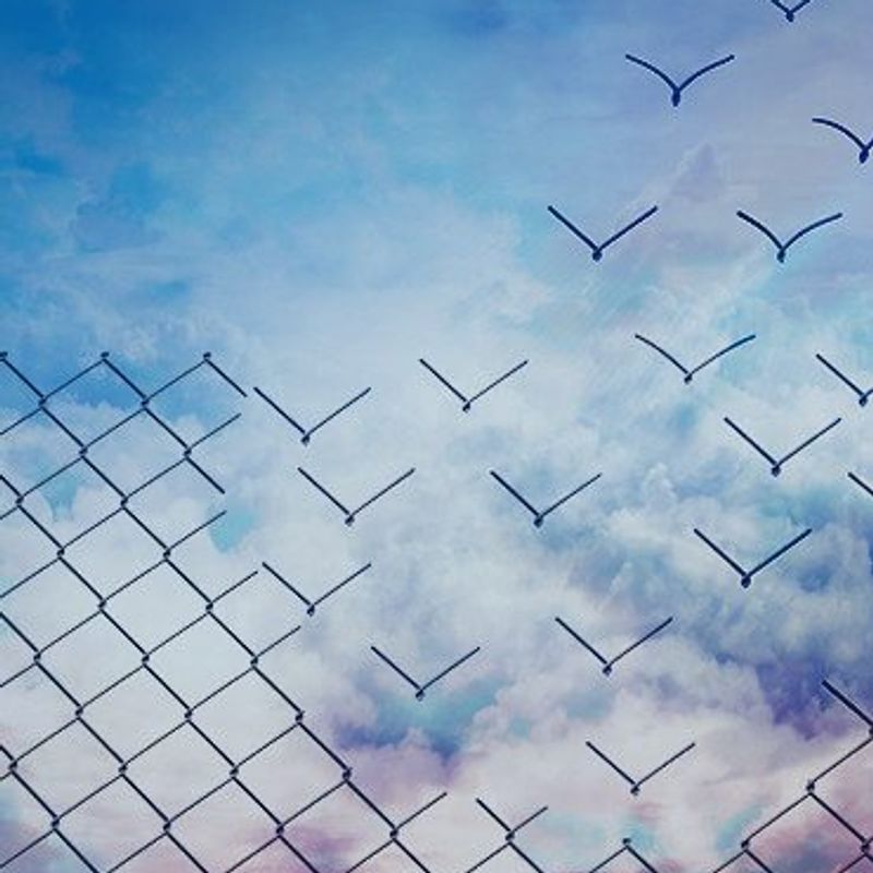 Small Business Marketing Tips Image of Chain Link Fence Morphing into Flying Birds