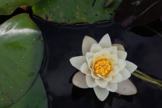 Can meditation help you achieve more?