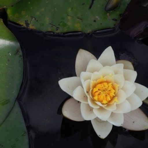 Can meditation help you achieve more?