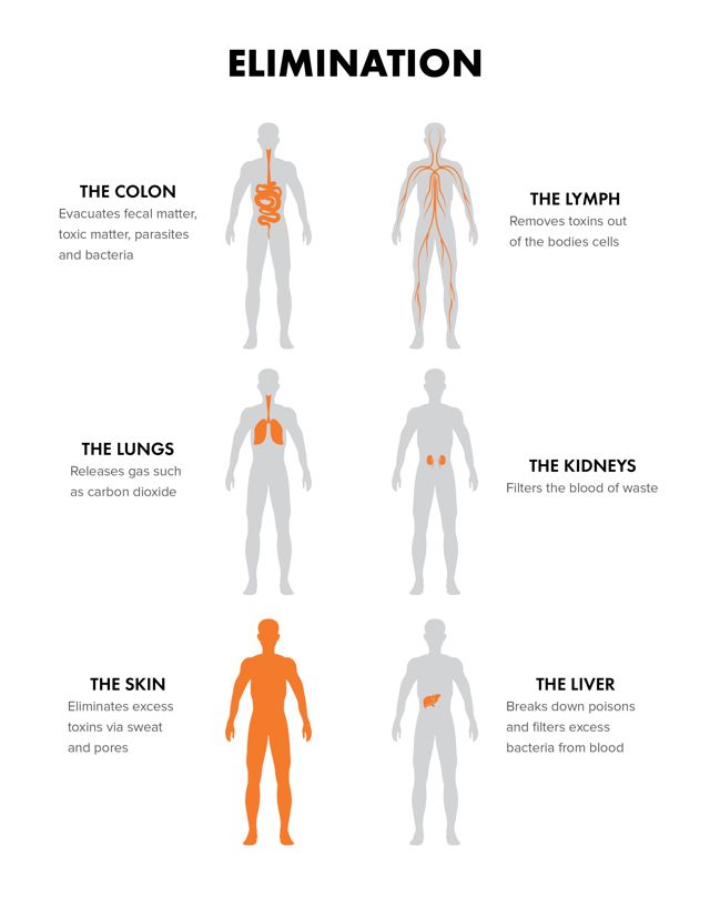 What system removes waste from the body?