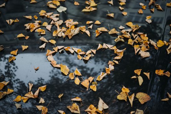 a heart made of leaves is floating in a puddle of water .