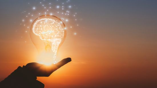 a person is holding a light bulb with a brain inside of it .