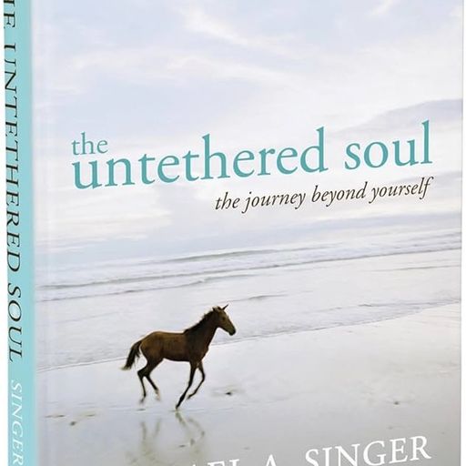 a book called the untethered soul by michael a. singer