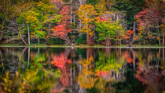 Why is spiritual wellness important?