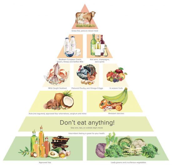 The new food pyramid