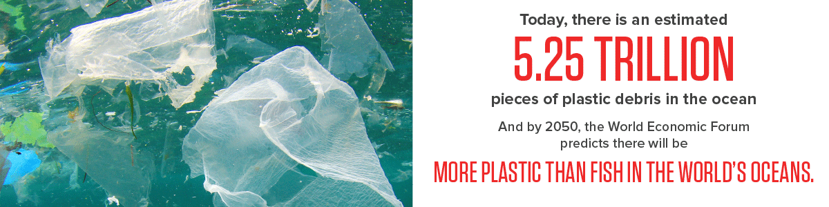  The marine environment