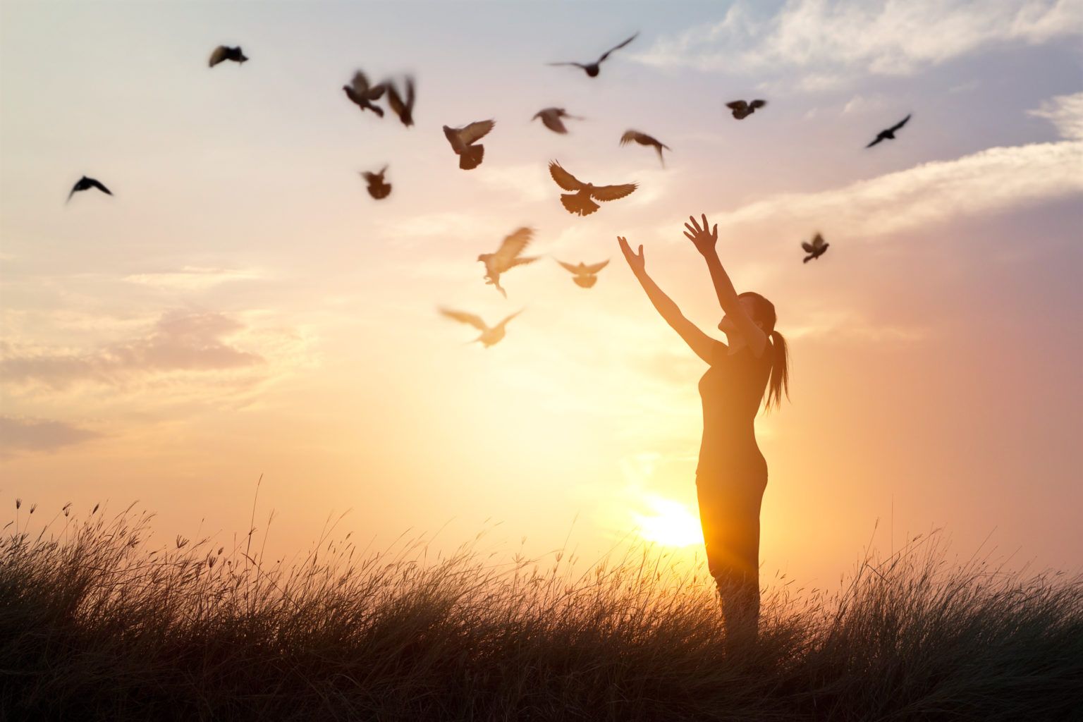 a woman is standing in a field with her arms outstretched and birds flying around her .