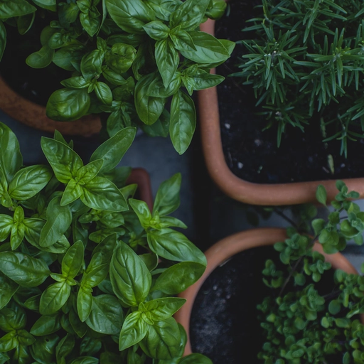 Add anti-inflammatory herbs