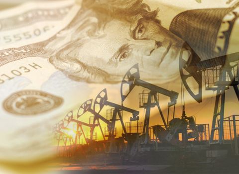 What is the petrodollar?