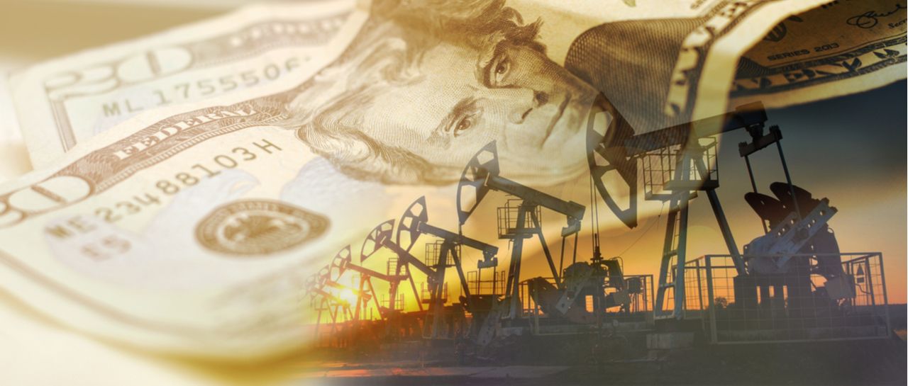 What is the petrodollar?