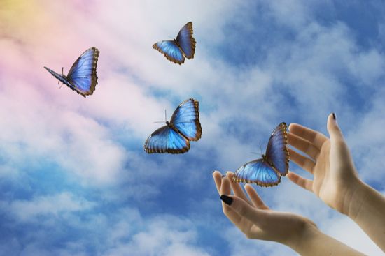 a woman is holding three blue butterflies in her hands in the sky .