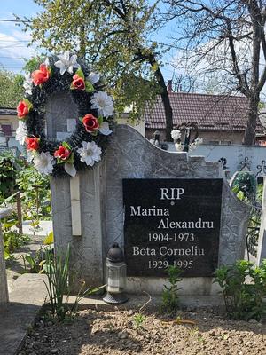 Alexandru Marina