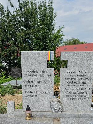 Petru Codrea