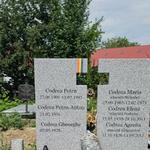 Petru Codrea