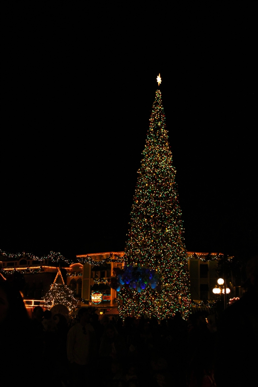 Christmas tree on Main Street.