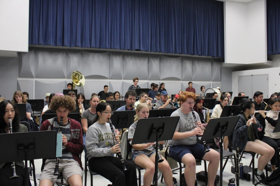 Front POV of woodwinds and brass.