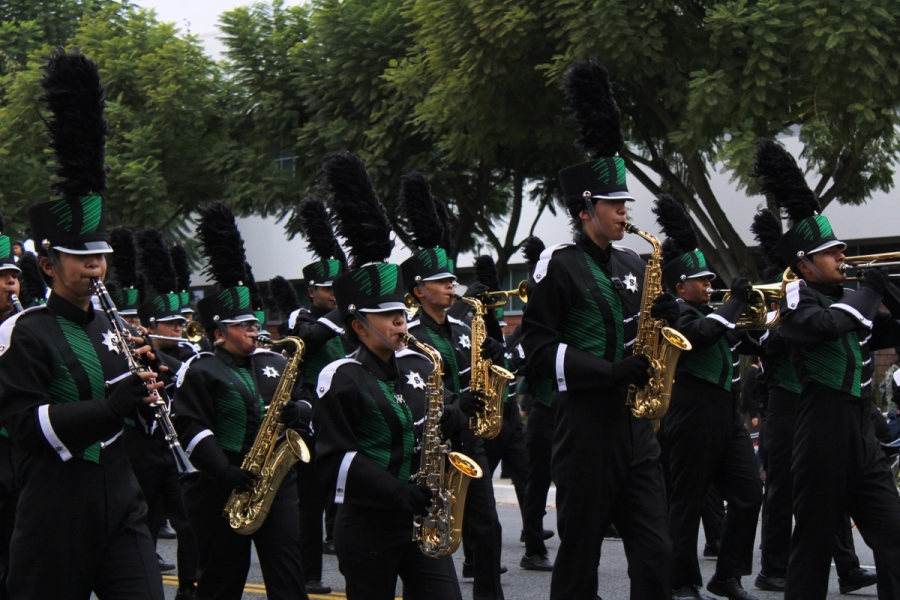 Green and black uniform.