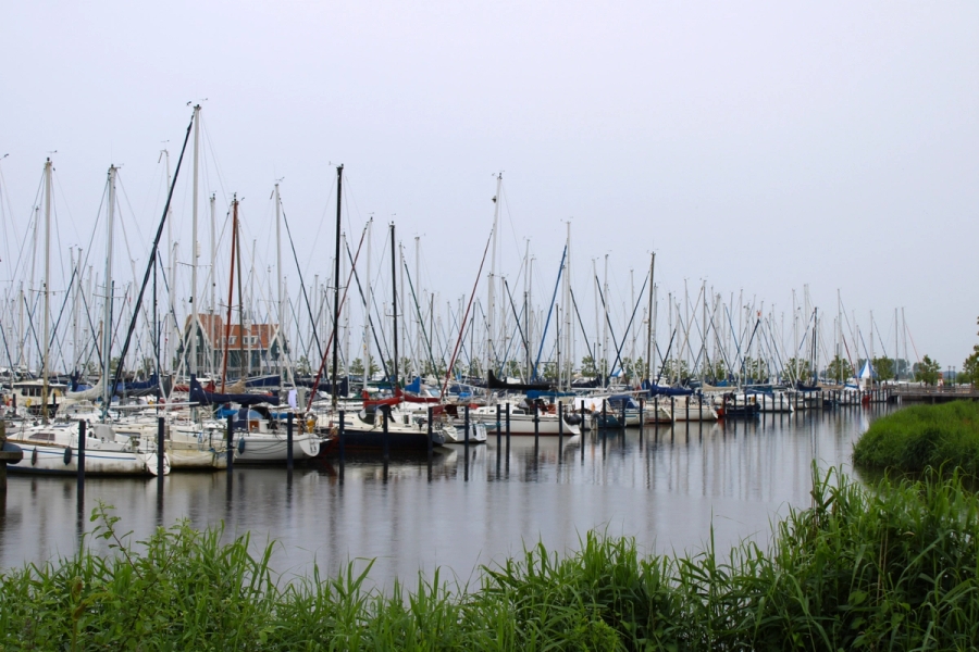 Docked boats at a pier.
