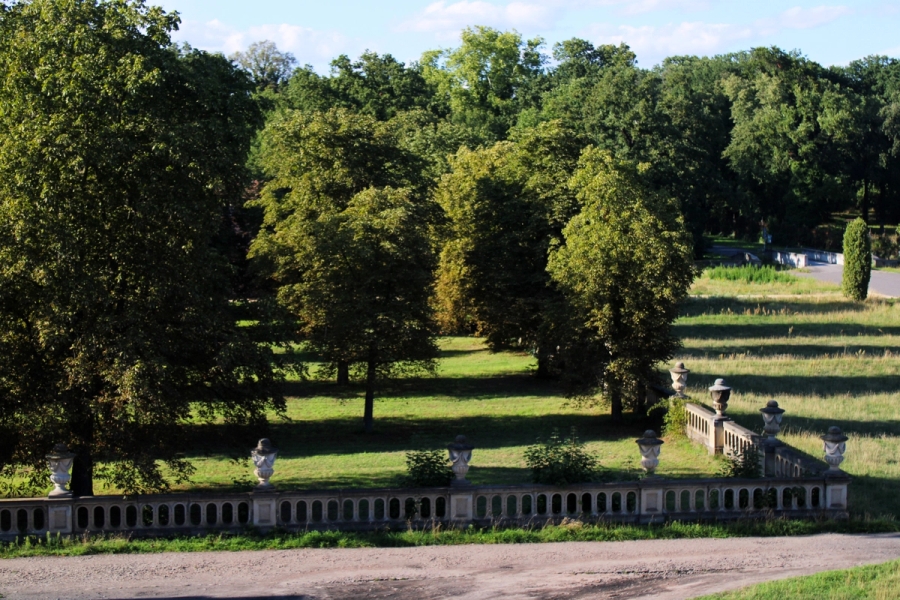 Stone fence with trees and grass.