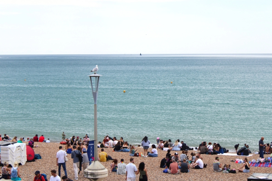 Seagull on beach lampost.