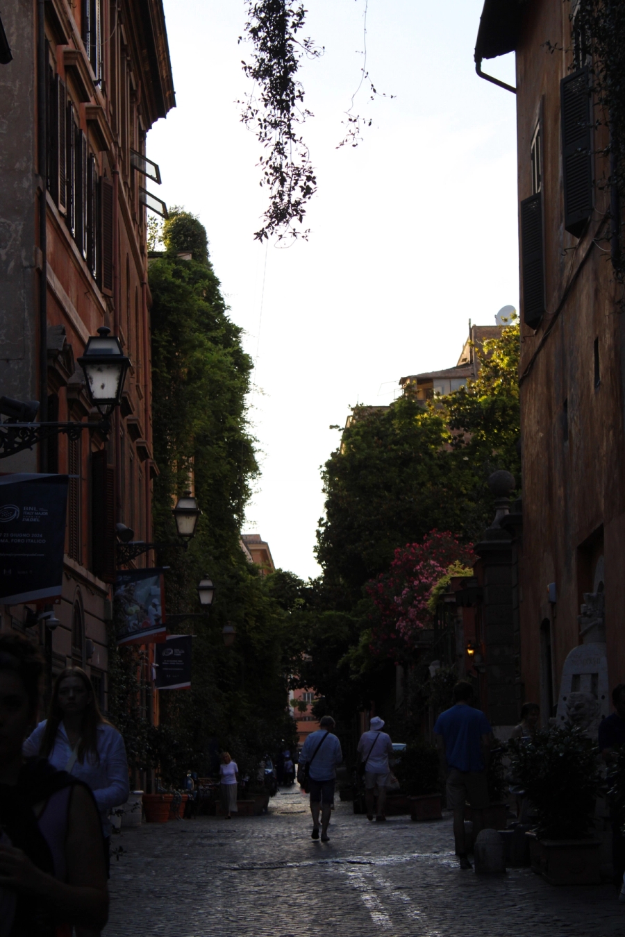 Street in between buildings at golden hour.