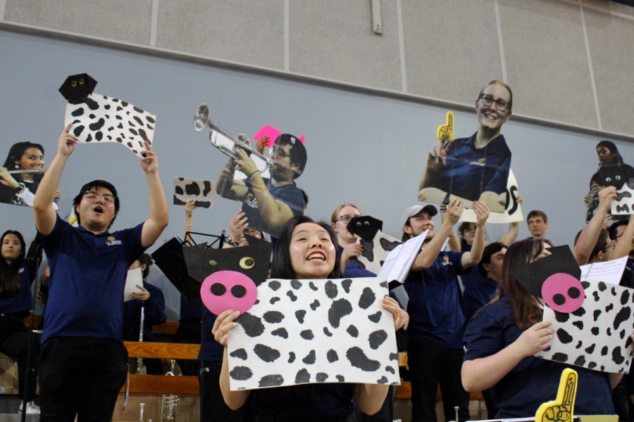 Band holding cow signs and senior posters.