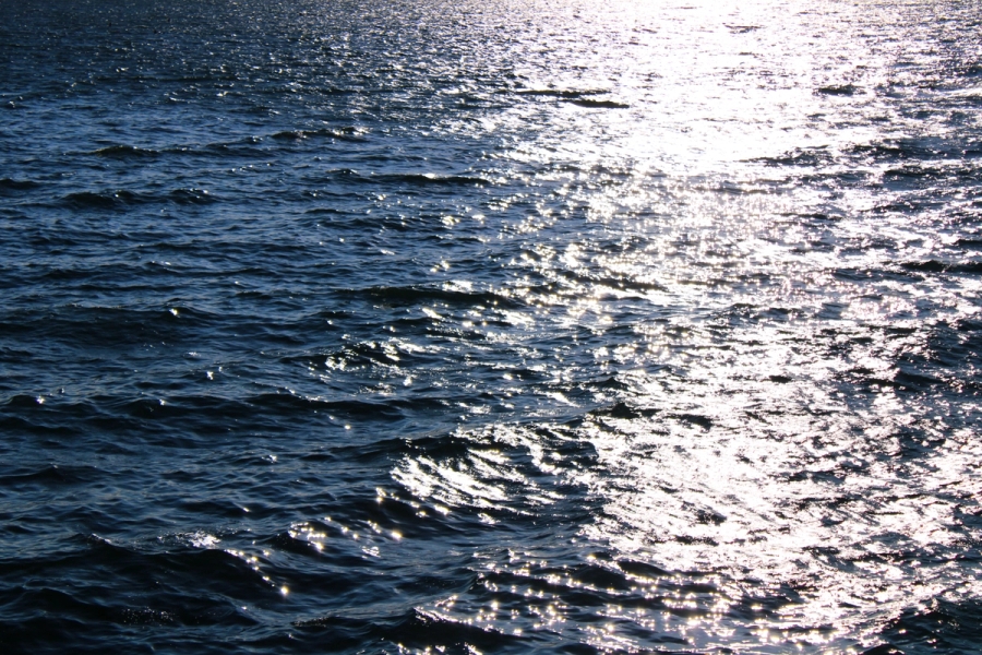 Light reflecting off the ocean water.
