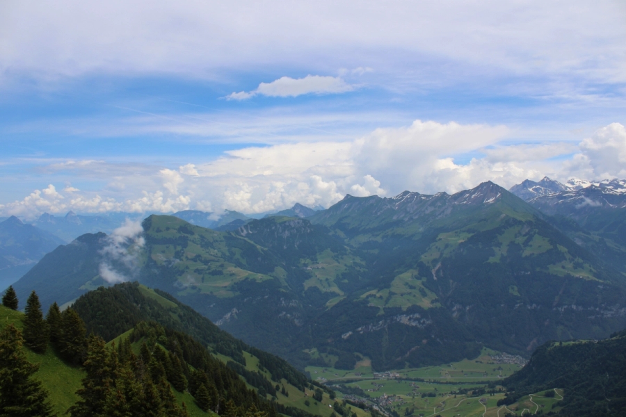 Green trees in the foreground of mountains.