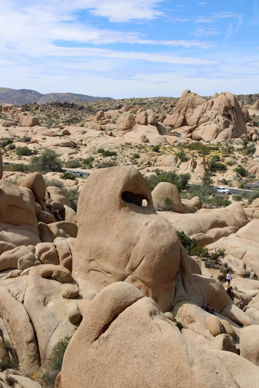Rock shaped as Yoshi.