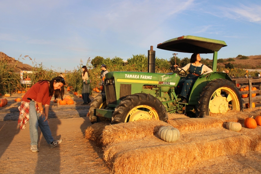 Girl "accidentally" hitting another girl with a tractor.
