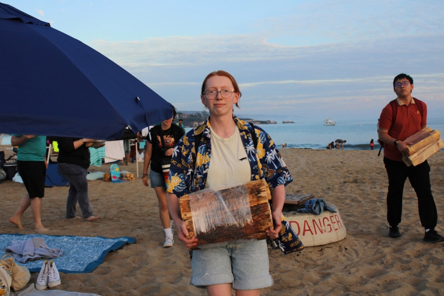 Girl holding firewood.