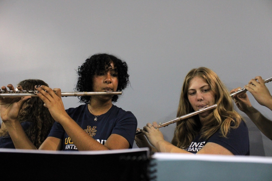 Front POV of flutes playing.