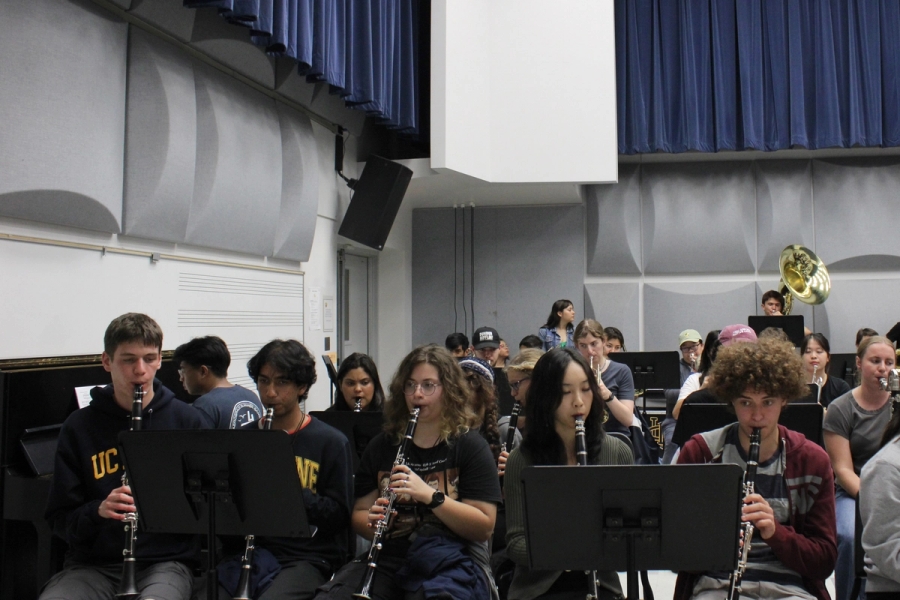 Two rows of clarinets playing.