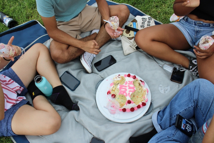 'Boys Suck' cake demolished.