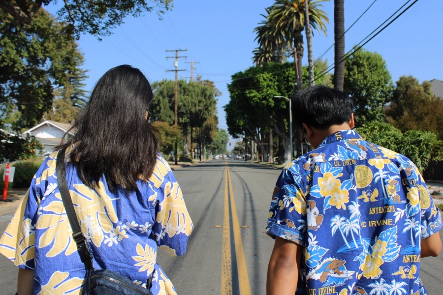 Back POV of a girl and boy walking down the street.