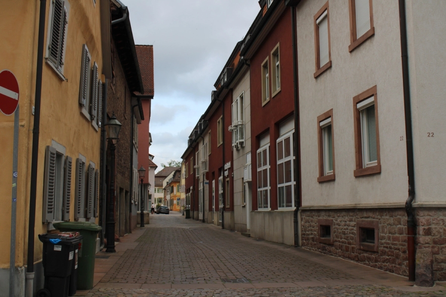 Low POV of neighborhood street.