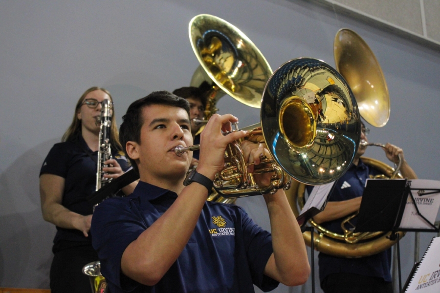 Boy playing mello.